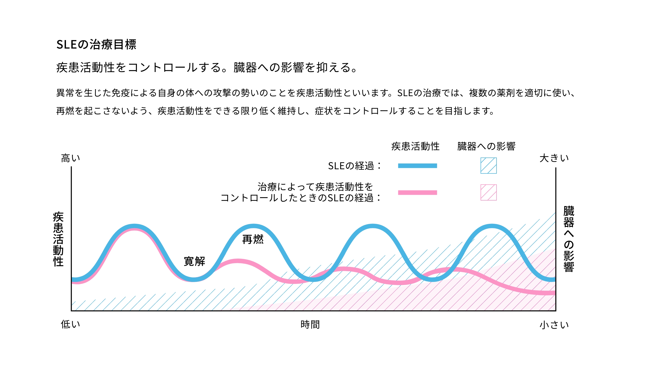 SLEの治療目標疾患活動性をコントロールする。臓器への影響を抑える。異常を生じた免疫による自身の体への攻撃の勢いのことを疾患活動性といいます。SLEの治療では、複数の薬剤を適切に使い、再燃を起こさないよう、疾患活動性をできる限り低く維持し、症状をコントロールすることを目指します。